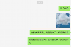 现金借款最近开始催收：应对策略与法律知识解析